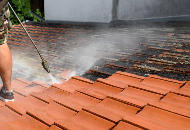Best Exterior Home Cleaning  in Pretty Bayou, FL